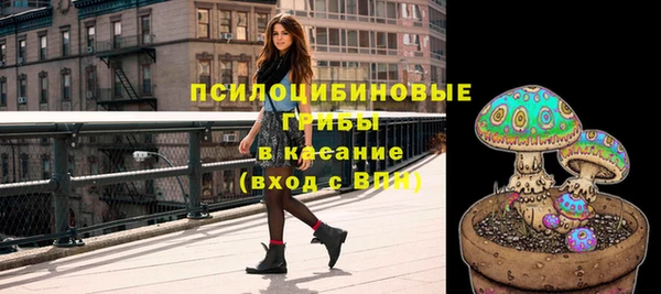 стафф Осинники