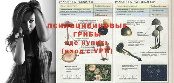 мяу мяу мука Остров