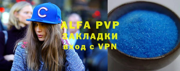 стафф Осинники