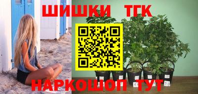 МДПВ Жуковский