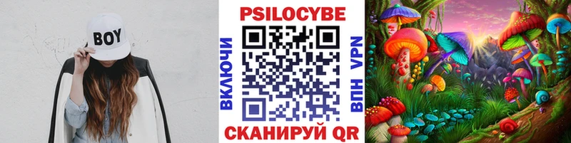 дарк нет какой сайт  Полевской  Псилоцибиновые грибы прущие грибы 
