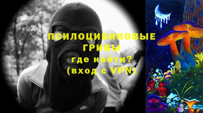 Галлюциногенные грибы Magic Shrooms  купить  сайты  Полевской 