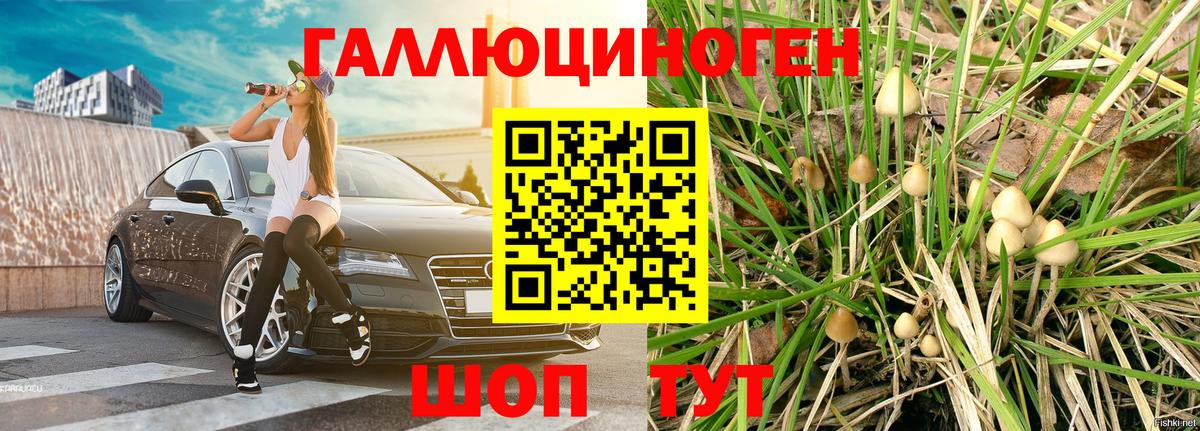 Псилоцибиновые грибы MAGIC MUSHROOMS Полевской