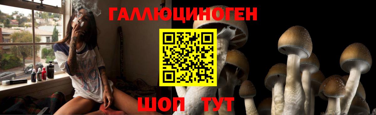 Полевской  Галлюциногенные грибы прущие грибы  Галлюциногенные грибы мухоморы  Вход с VPN 